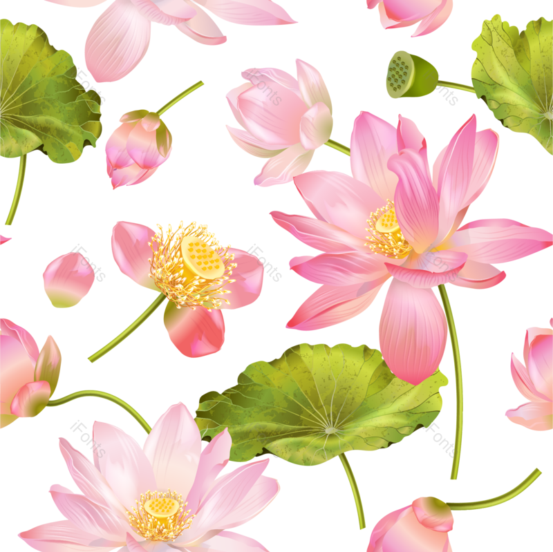 夏天图片,花卉元素,花朵PNG,鲜花免抠素材